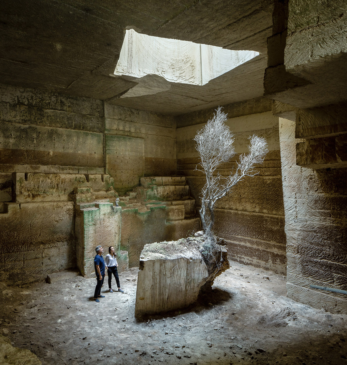 Natur trifft High-Tech