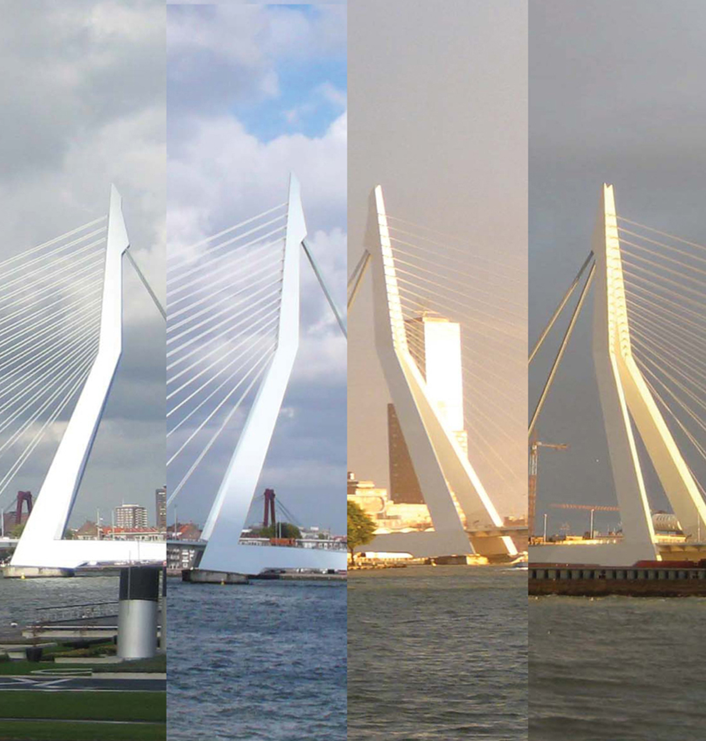 ‘Dynamics is light’