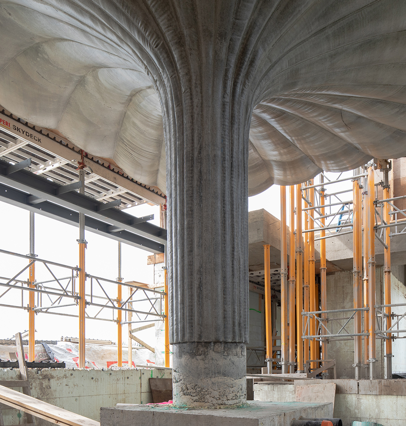 Freiheit im Experiment