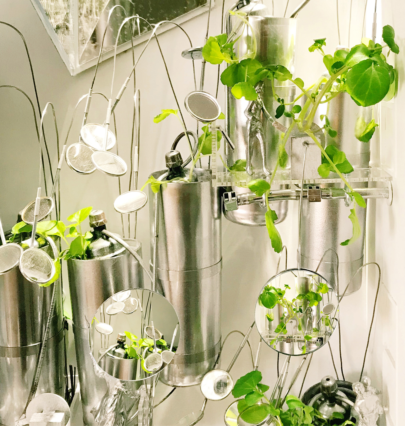 More than just a light