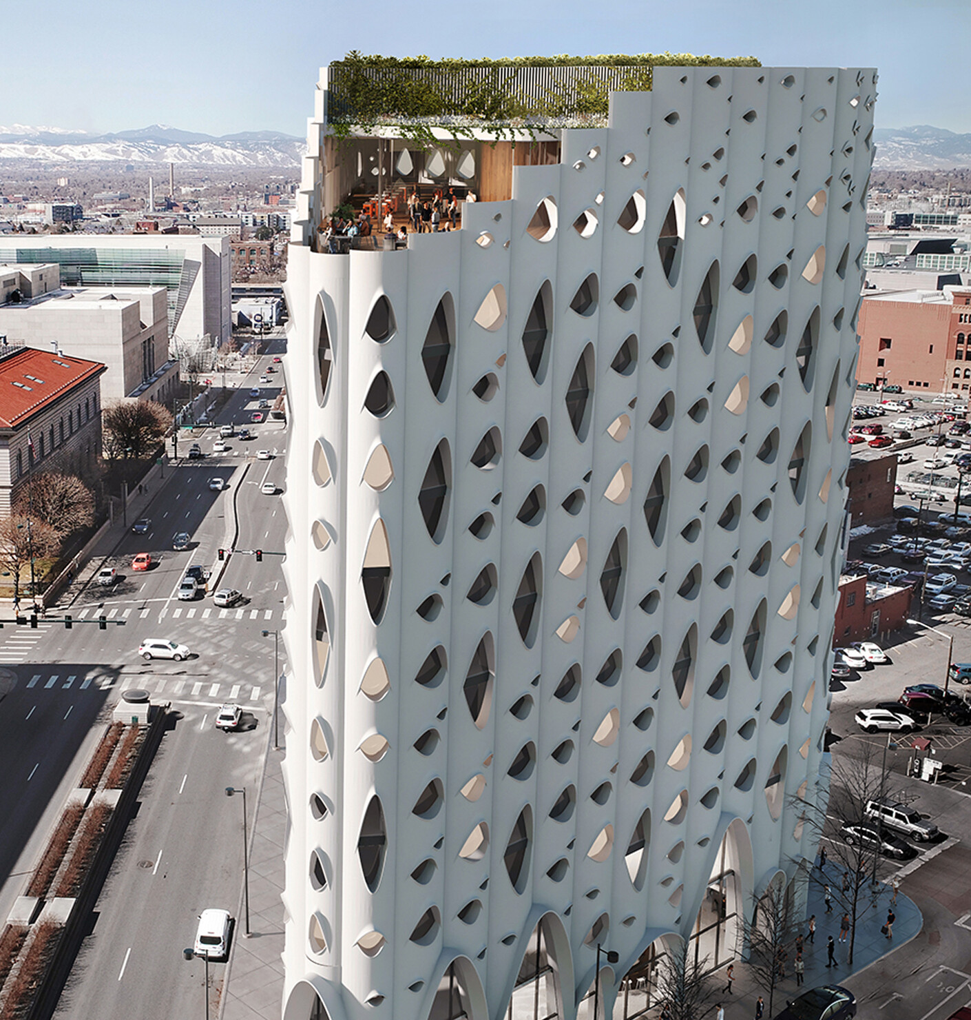 The poplar stood patron