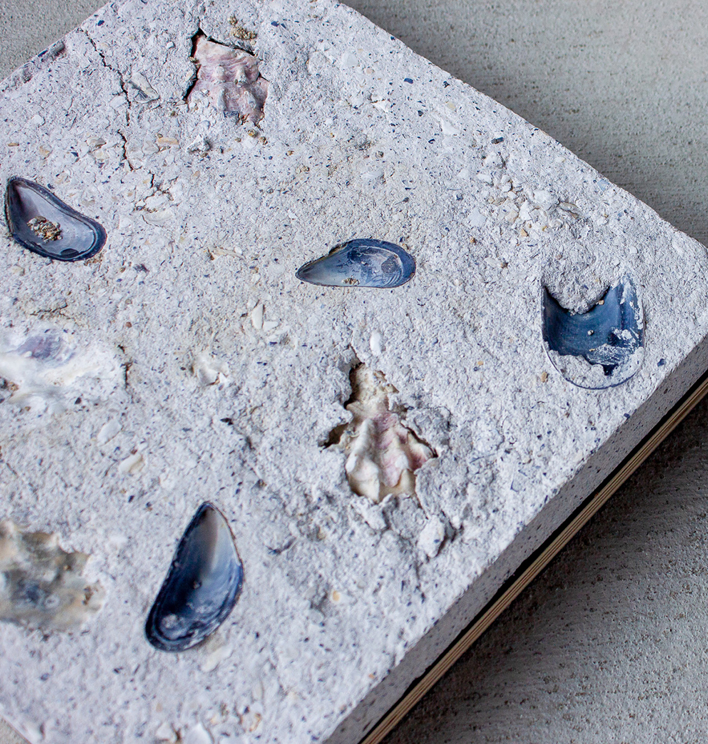 Launched from the Sea