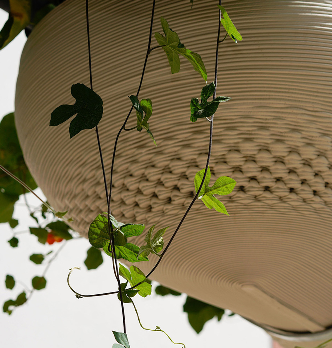 Schatten-Energie-Kreislauf