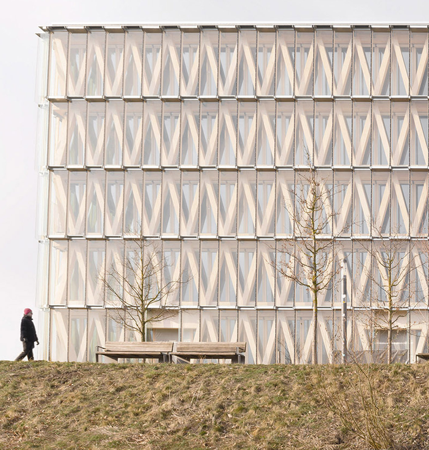 Image and Reproduction