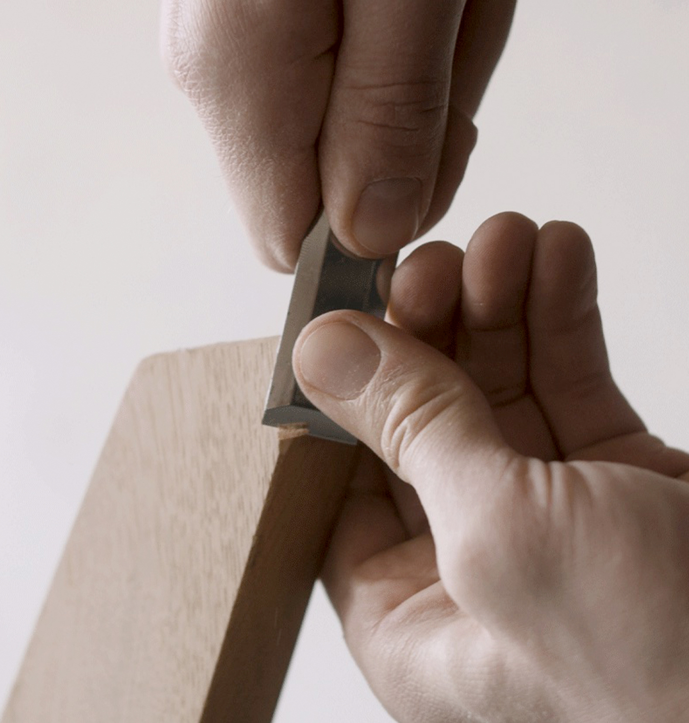 Ein neues Bewusstsein