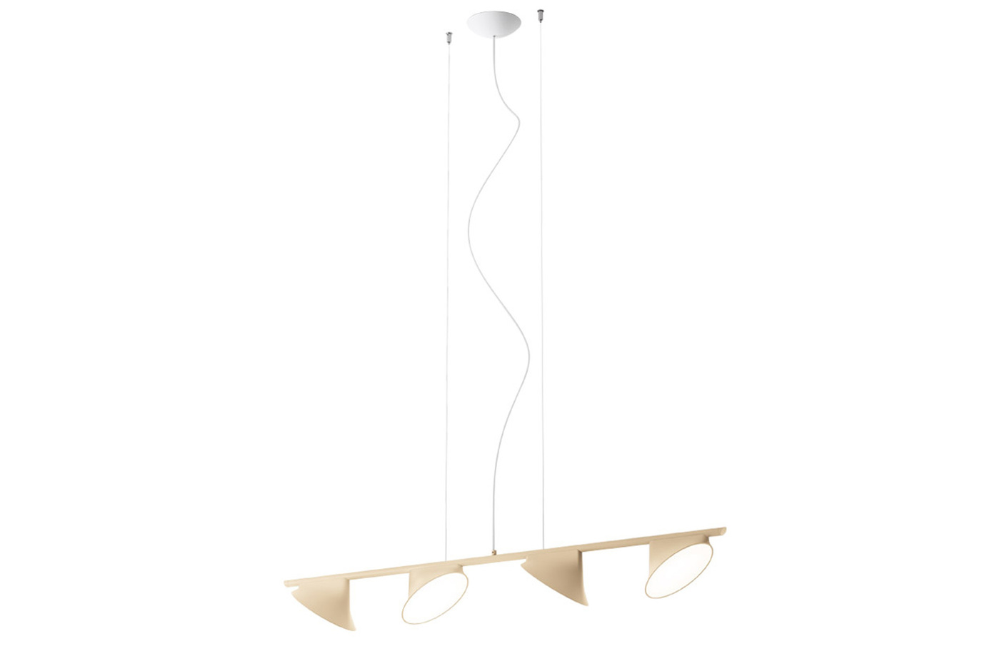 Orchid suspension 4