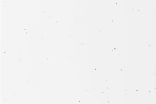 0103. Day Nature  by  KRION