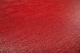 Botanic Tulip  von  Bolon