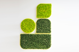 BuzziMood  von  BuzziSpace