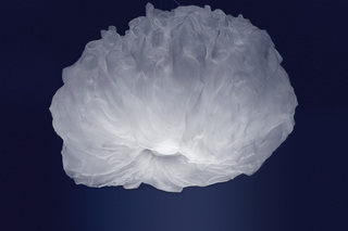 Nuée  von  Foscarini