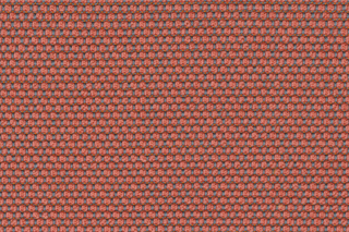 OPERA guave  by  rohi