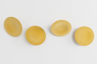 BuzziDish  von  BuzziSpace