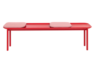 TANI  von  Schönbuch