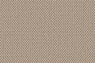 CREDO new macadamia  by  rohi