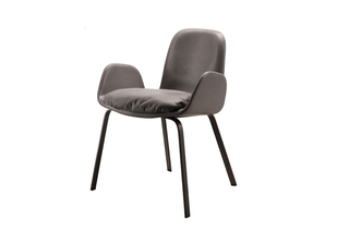 PEC with armrests  by  [more]