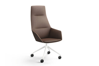 ray soft 9638/A  von  Brunner