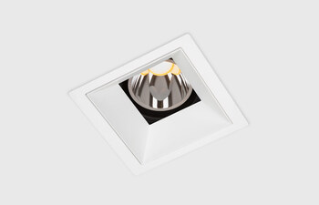 Down 80 downlight
