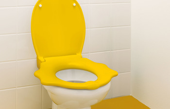 Geberit Bambini Stand-WC Löwentatzendesign