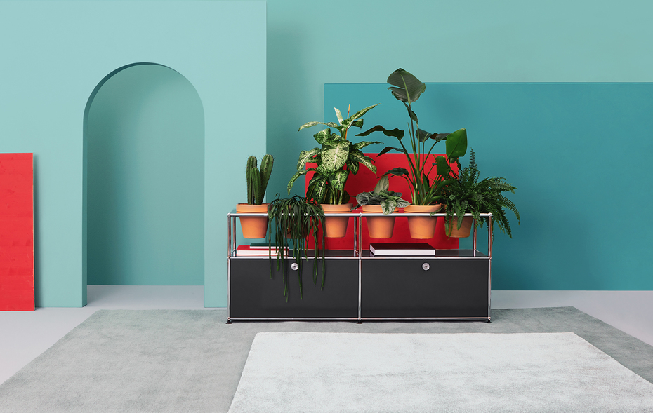 Bildergalerie Pflanzenwelten für USM Haller