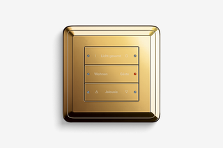 Pushbutton sensor 3 brass  by  Gira